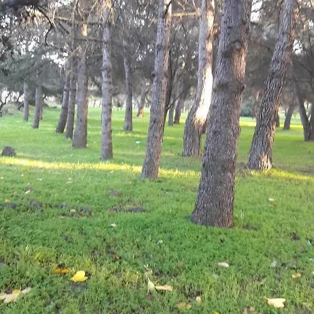 Richelieu 4 Cap Apartmán *